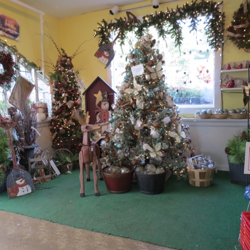 2014_CN christmas 037